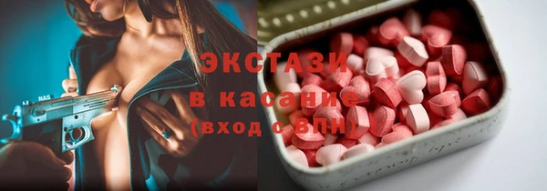 ECSTASY Алзамай