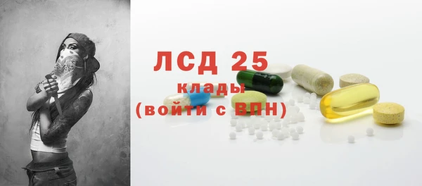 ECSTASY Алзамай