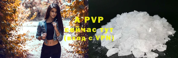 jwh Абаза