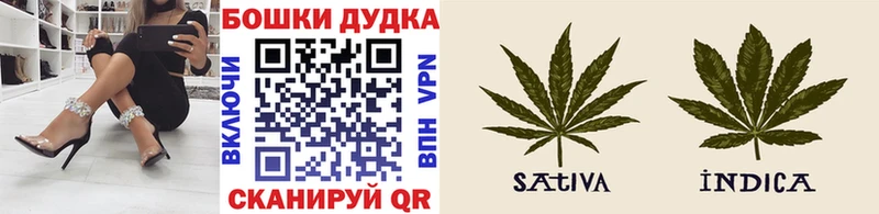 Шишки марихуана сатива  Новая Усмань 